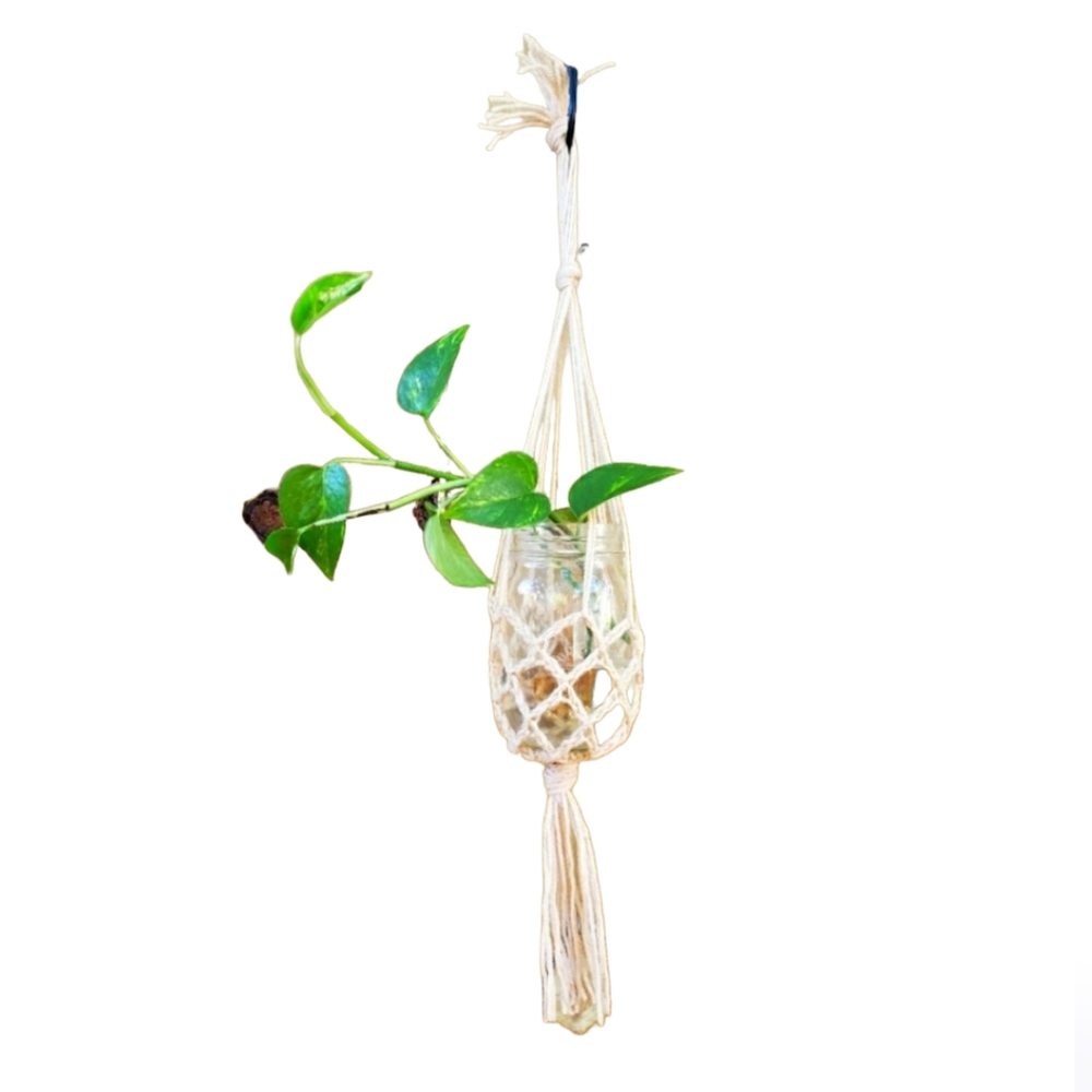 Plant Hanger